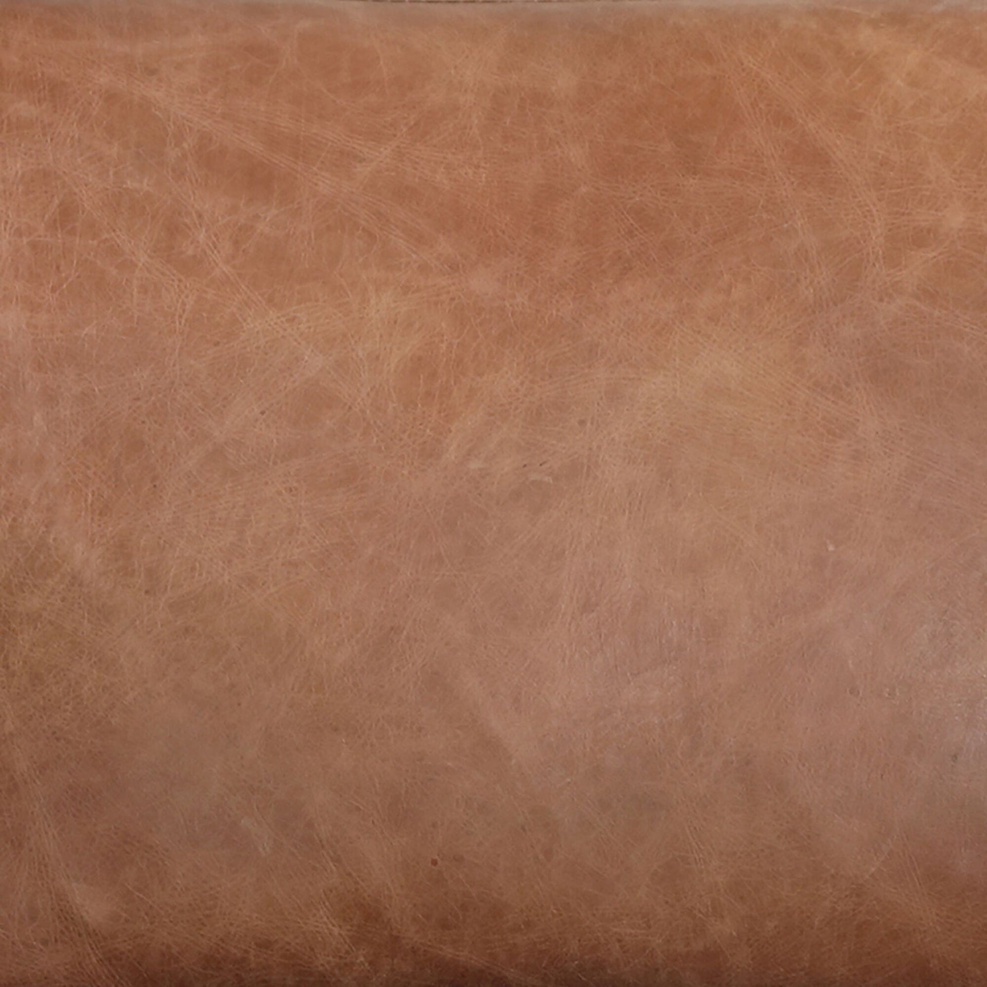 Skylar Bench, Top-Grain Leather Upholstery, Matte Brass Iron Legs, Cappuccino